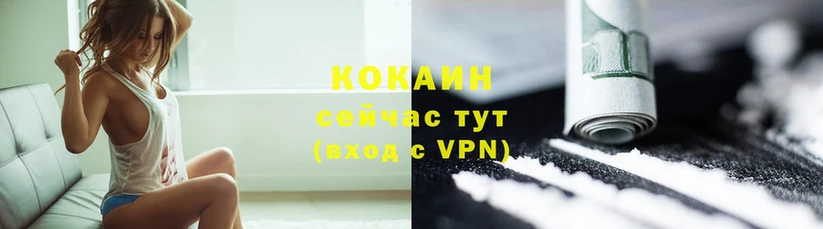 COCAIN Эквадор  купить   Темников 